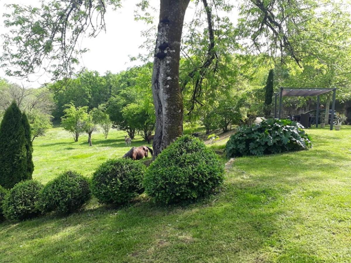 Domaine De La Piale Couette-café Fons (Lot)
